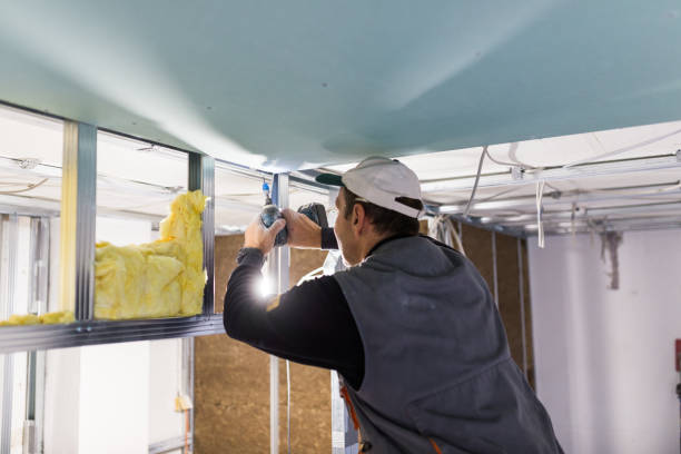 Best Residential Insulation in Riverside, MO