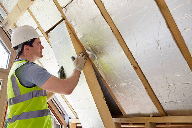 Best Specialty Insulation in Riverside, MO