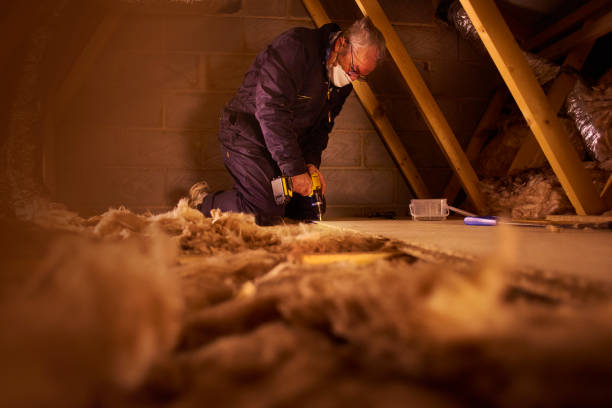 Best Commercial Insulation in Riverside, MO