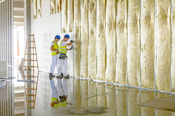 Best Energy Efficiency Solutions in Riverside, MO